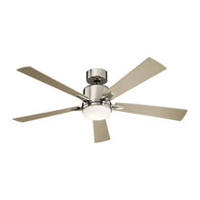 Fan - Guest, Exercise