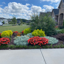 Garden design and landscaping
