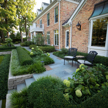 Boxwood