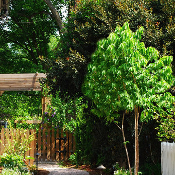 Lead me down your garden path......