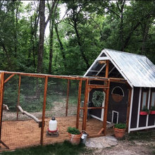 Chicken Coop