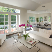 Living Room Ideas