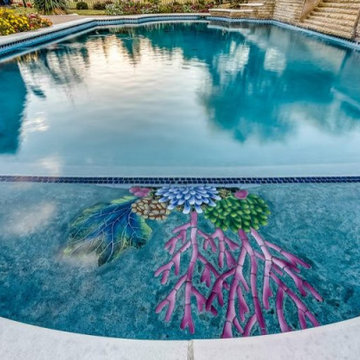 Tanning Ledges