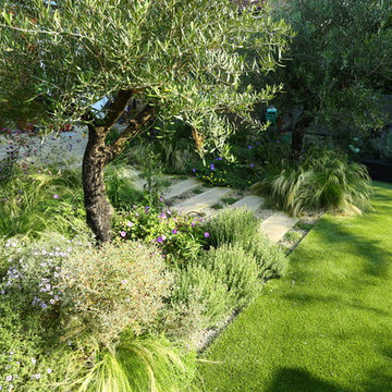 Mediterranean Garden landscaping in Chiswick