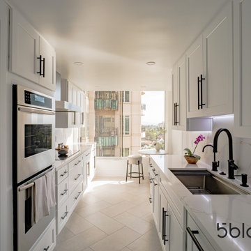 Los Angeles Pent House Apartment