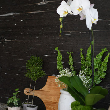 Outdoor Living Project