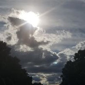 Bethanne MacQuilken's photo