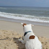 Jess Trstensky's photo