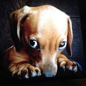 Martha Cobb Fielder's photo