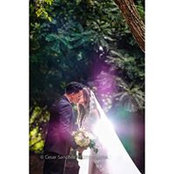 Foto von Karelyn Rod