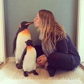 Claire Williams's photo