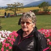 Foto von Marilyn Wojahn
