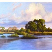 Nancy Wahl's photo