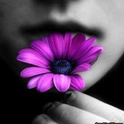 MaryPat Eltrich's photo