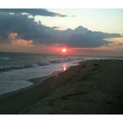 Jeffrey Cazeault's photo