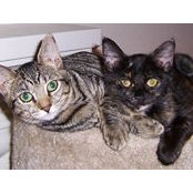 Joceline Berrios's photo