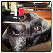 Christina Gerding's photo