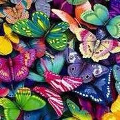 Tonda Jones-boyland's photo