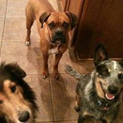 Adam Johnson's photo