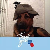 Foto von Gareth Jones