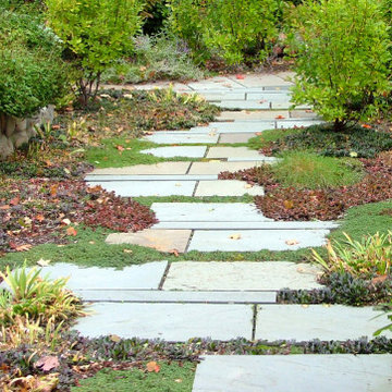 Pavements by GLA