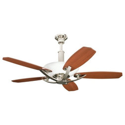 Transitional Ceiling Fans by DecorPlanet