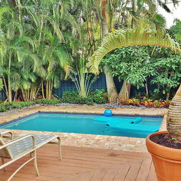 Landscape Renovation