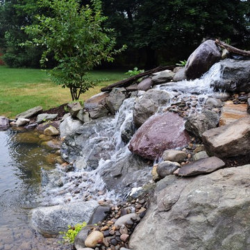 Ponds and Streams