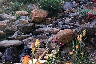 Design ideas for a contemporary landscaping in San Francisco.