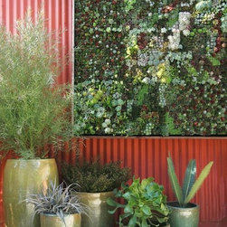 Container gardening - Lifestyle And Leisure