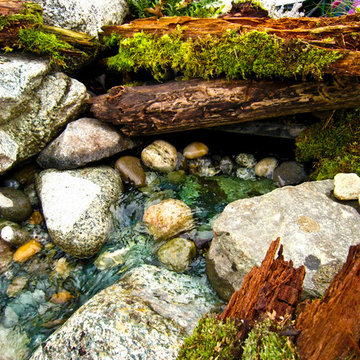 Close-up of waterfall