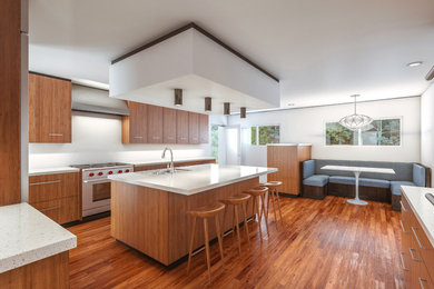 Inspiration for a mid-century modern kitchen remodel in Raleigh