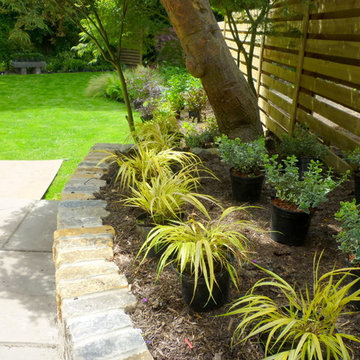 Hakonechloa and Euonymus Positioned ready for Planting