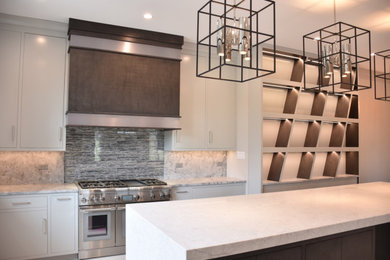 Kitchen - transitional kitchen idea in Chicago