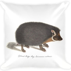 Throw Pillows T J Ma Ragdoll Cat King Of His Domain Watercolor Throw Pillow