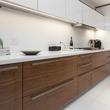 Gloss White Acrylic and Wood Veneer American Walnut