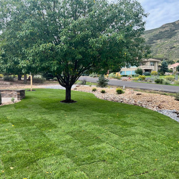 Sod and Small Raised Berm Bordering This Front Yard Project