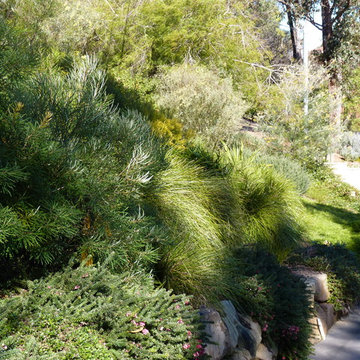 Glenbrook Garden