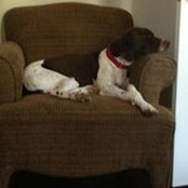 Michelle Balash Pascuzzo's photo