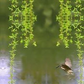 Liqiang HE's photo