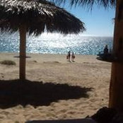 Dawn Goodwin's photo