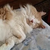 Michele Walsh's photo
