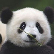 Jianping Wu's photo