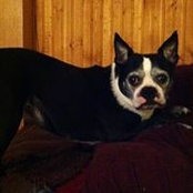 Mary Baker's photo