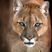 Francine Schroeder's photo