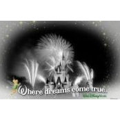 Errin Anderson's photo
