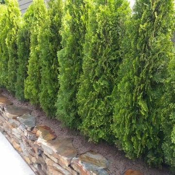 Our Work