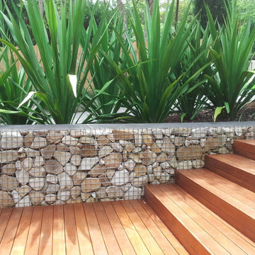 Killara Garden arrival courtyard garden ,modern Australian theme