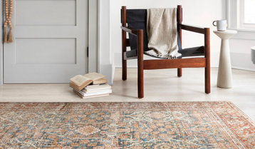 Top 100 Rugs With Free Shipping