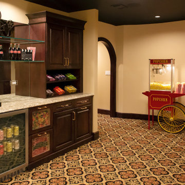 Classic Home Cinema in Barrington Hills